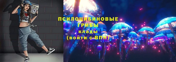 шишки Лихославль