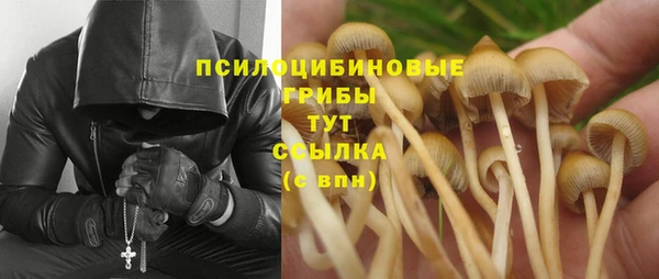 шишки Лихославль