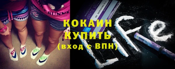 шишки Лихославль