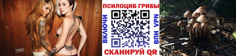 купить   Орлов  Галлюциногенные грибы мухоморы 